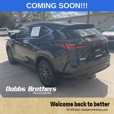 2025 Lexus NX NX 350