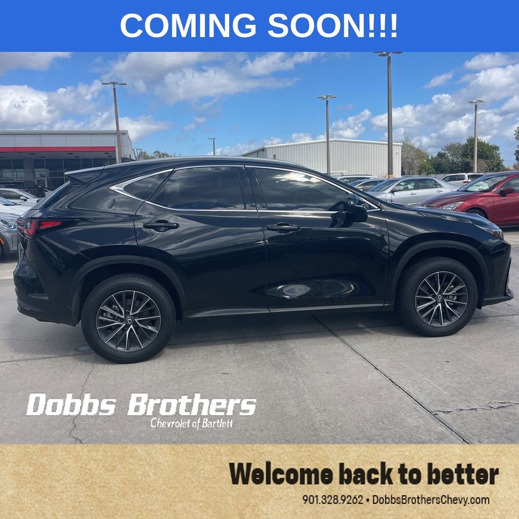 2025 Lexus NX NX 350