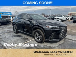 2025 Lexus NX NX 350